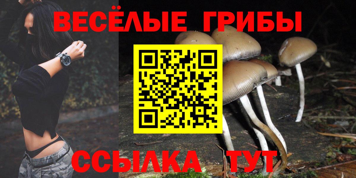 Псилоцибиновые грибы мицелий  Вход с VPN  Медногорск 