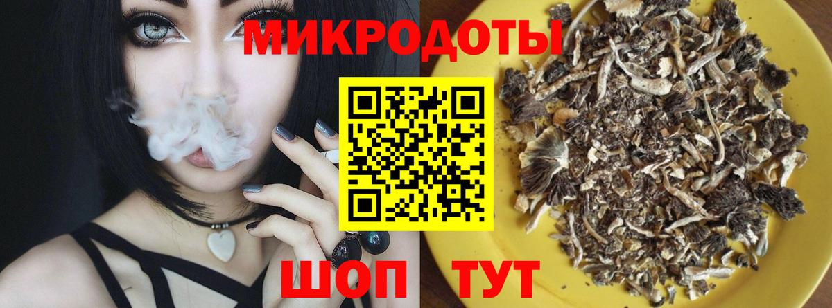 Псилоцибиновые грибы Cubensis Медногорск